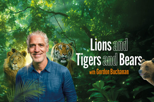 LIONS and TIGERS and BEARS with Gordon Buchanan